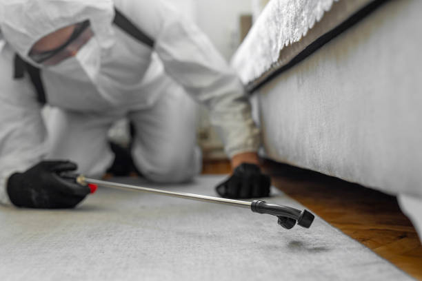 Professional Cockroach Control technician working in East Richmond Heights, CA
