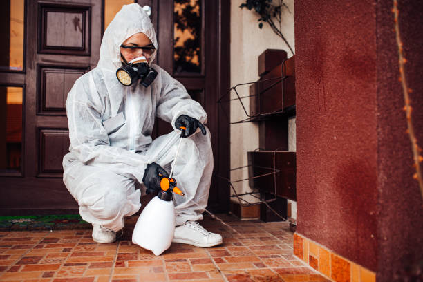 Reliable Cockroach Control contractor in East Richmond Heights, CA by Nex Pest Control
