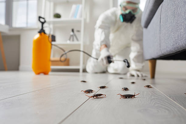 Affordable Cockroach Control solutions in East Richmond Heights, CA